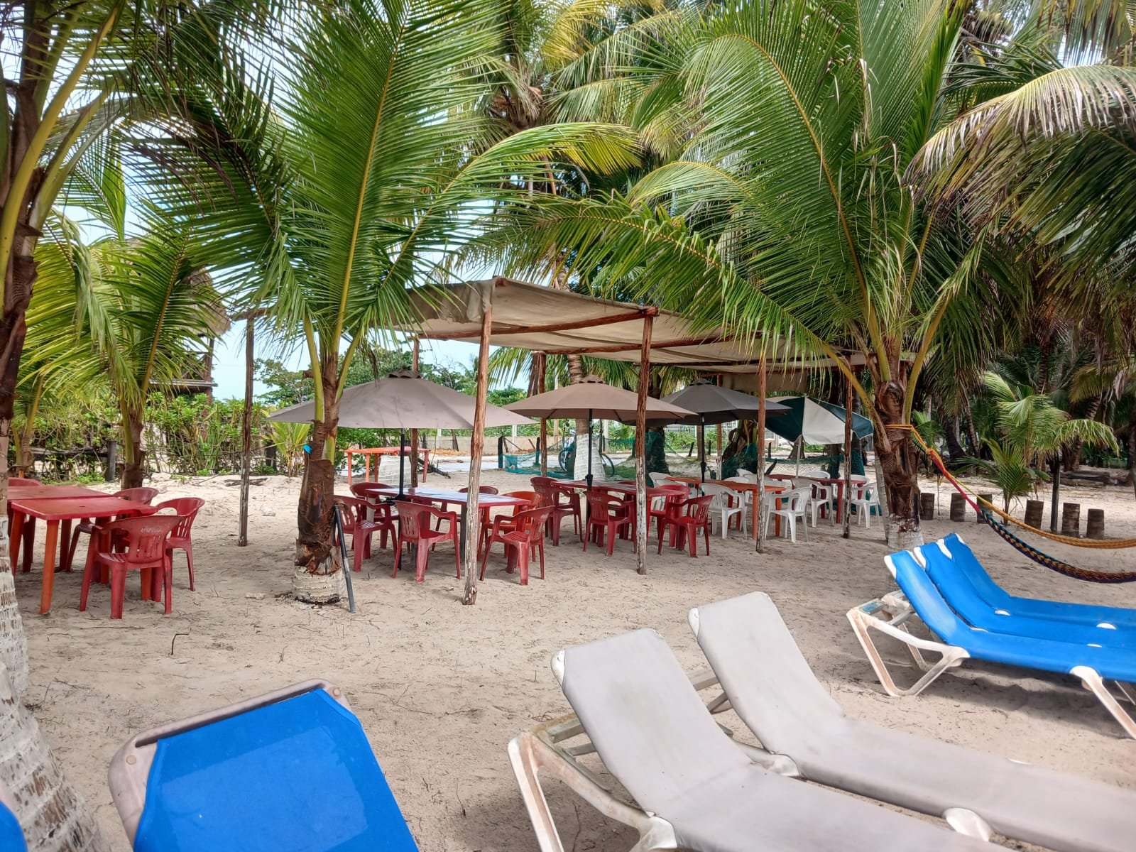 Restaurante y beach club Kimbara